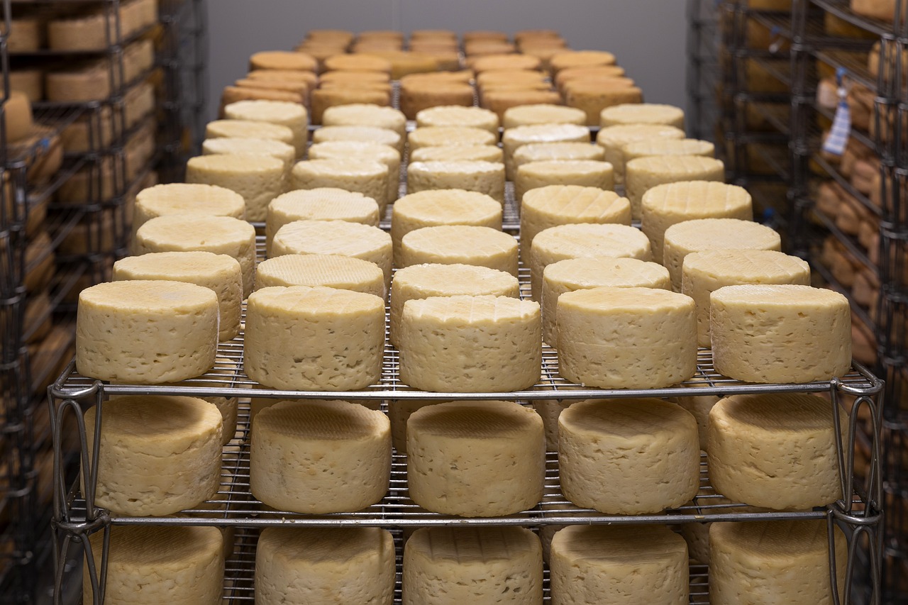 Cheese Industry